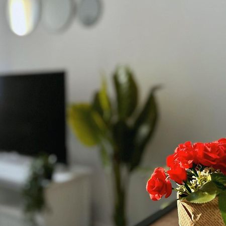 Cosy Palm Beach, Studio Pres De La Mer Et De La Croisette カンヌ エクステリア 写真